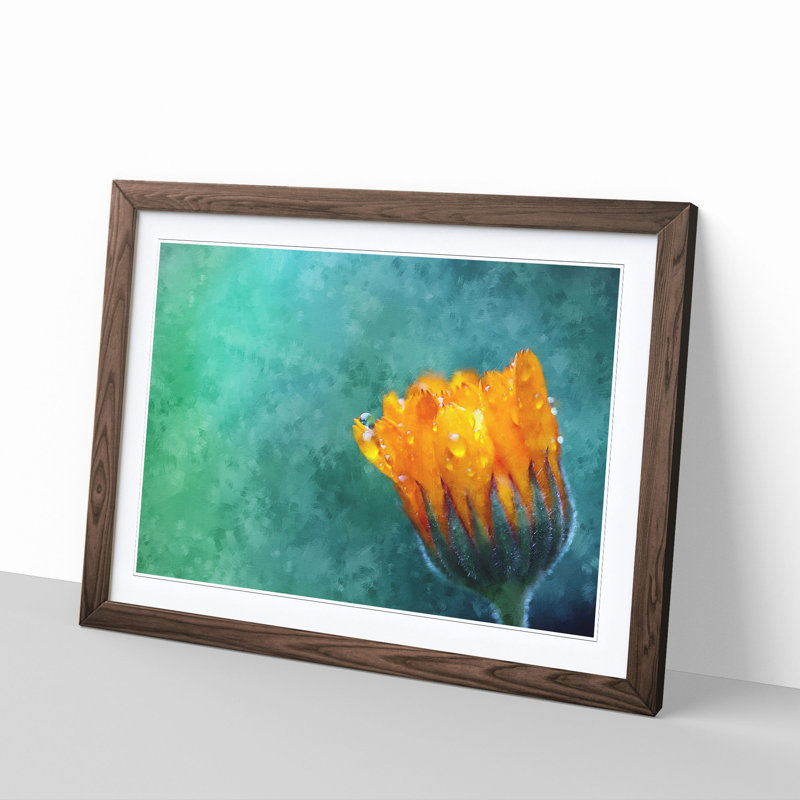 Blooming Orange Magnolia Flower Painting - Single Picture Frame Print on MDF, 33cm H x 45cm W x 2cm D, Walnut