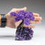 Medium Amethyst Clustered Gemstone Tree on Amethyst Matrix (The Protection Tree)