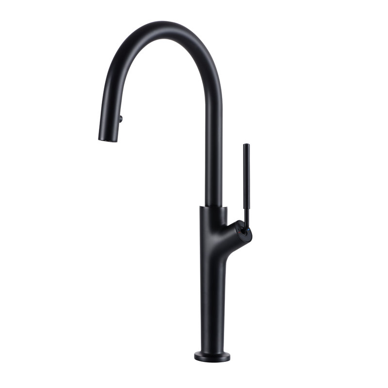 Matte Black Single Handle High Arc Kitchen Faucet with Pull-out Spray