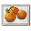 " Citrus Grouping I "-1849304340