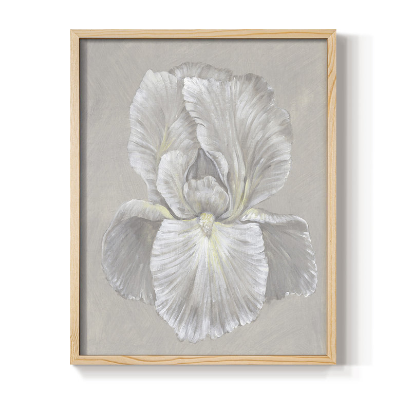 Iris blanc I, reproduction encadrée - bois massif, H 21 po x l 17 po
