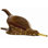 Navarrette Wood Bellow