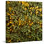 Karolis Janulis - Wrapped Canvas Print-155546546