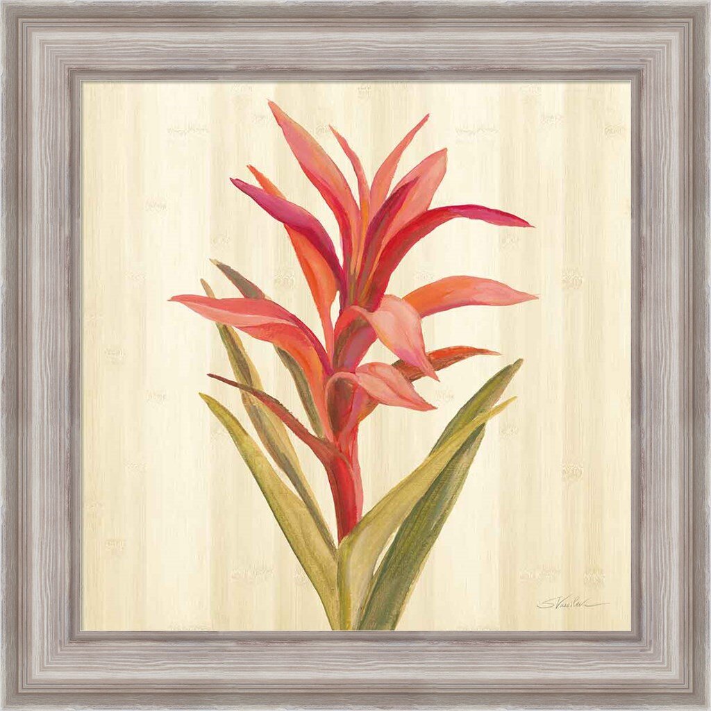 Bayou Breeze Tropical Garden III By Silvia Vassileva, Framed Wall Art ...