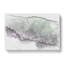 Foggy Forest - Wrapped Canvas-56642908