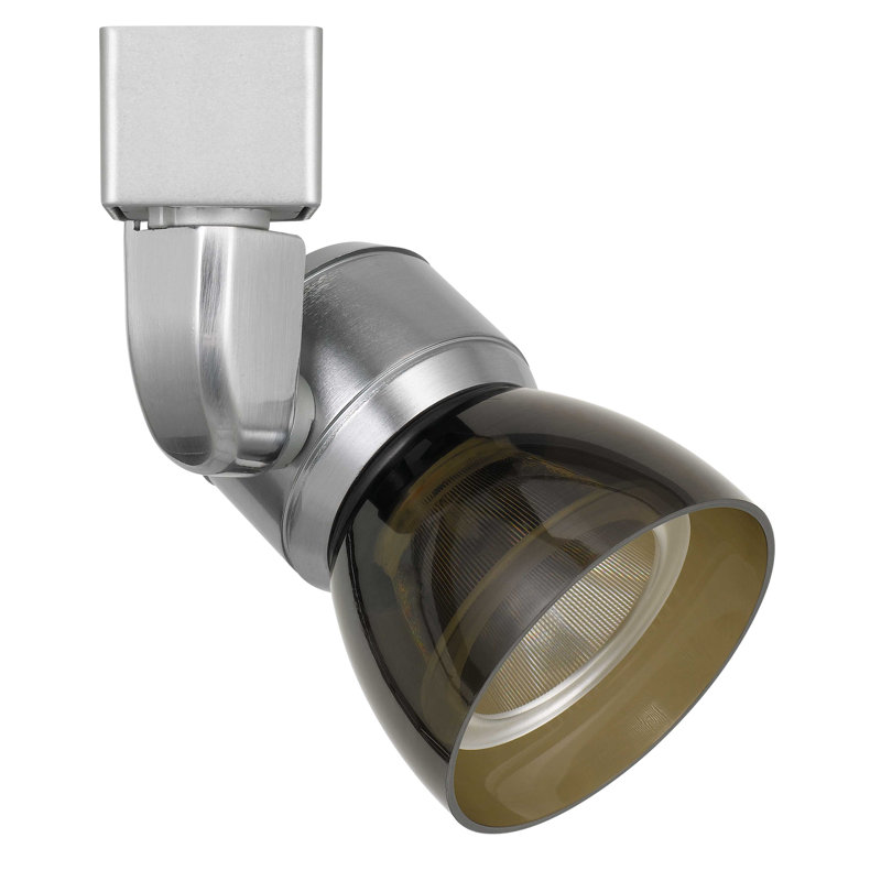 LED Adjustable Track Head, Smoke Clear, Brushed Steel