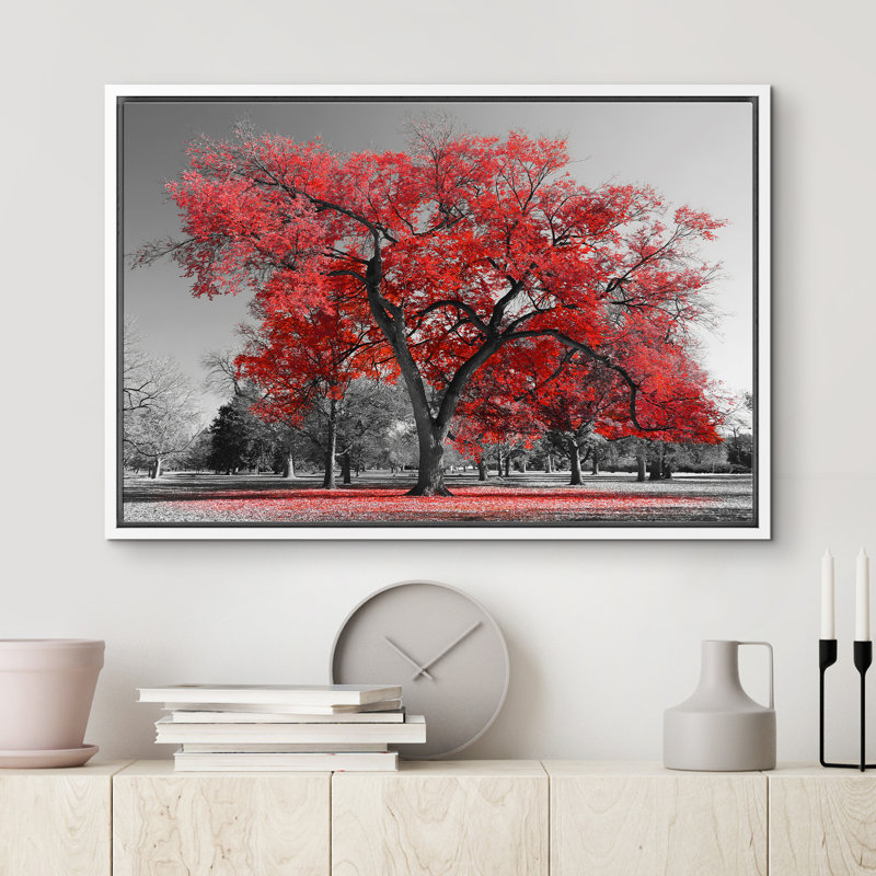 Arbre rouge sur fond de parc noir et blanc, Cadre flottant blanc, H 24 po x l 36 po