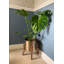 Brentry Pot Planter
