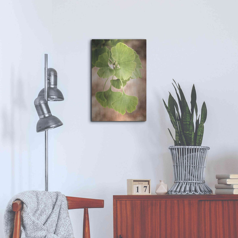«Sprouting Ginkgo IV» par Debra Van Swearingen, H 24 po x l 16 po