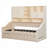 Upholstered Daybed With LED Armrest Lights, Storage Shelves & Cabinets, Pull-Out Lift-Up Trundle-179369931