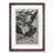 Walnut Framed selected