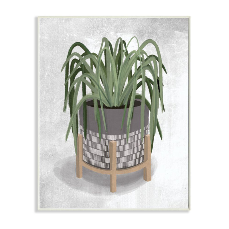 «Amical Spider Plant Grey Green» par House Fenway - impression d'art graphique, H 15 po x l 10 po x P 0,5 po, Plaque murale