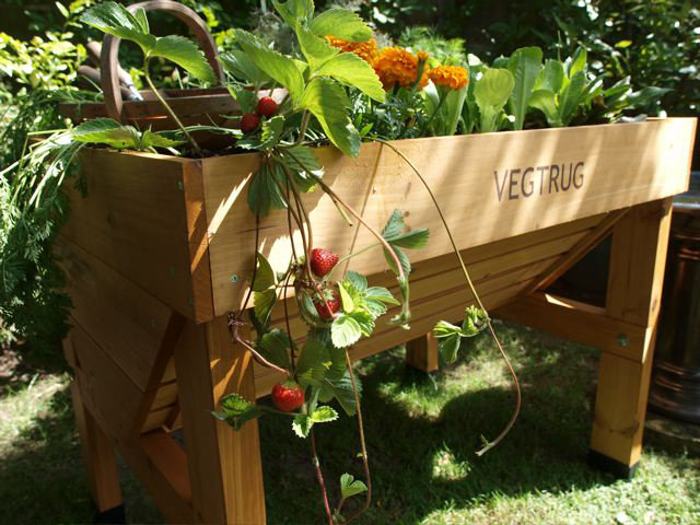Classic VegTrug - Natural (FSC 100%), Small