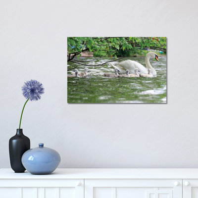 Family Float by David Gardiner - Wrapped Canvas Print