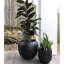 Pot de fleurs Dorlis Fiberstone-795249540-795267169