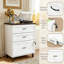 Classeur en bois à 3 tiroirs avec serrure, support d'imprimante de style champêtre pour bureau à domicile, compatible avec les formats Lettre et A4-927570894
