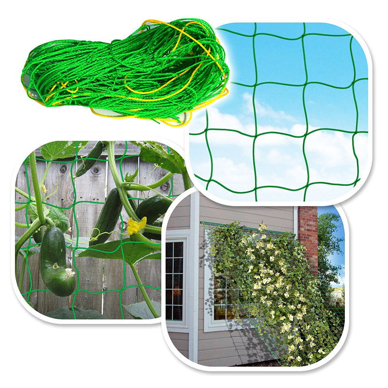 Support pour plante en treillis maillé Trahan, H 6 pi x l 3 po x P 0,8 po