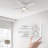 Mariyanka 48'' Ceiling Fan with LED Lights-939926749
