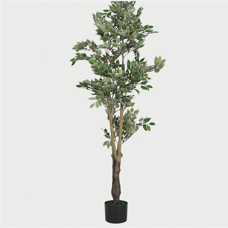 69" Artificial Ficus Tree with Black Plastic Pot