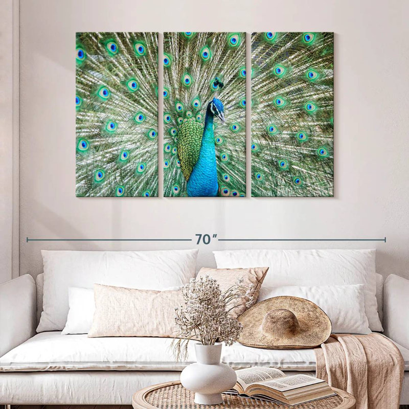 Brampt Peacock Displaying Tail, 32" H x 50" W