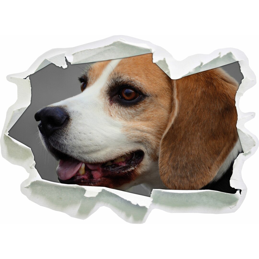 Wandtattoo Stolzer Beagle im Seitenprofil