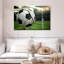 Soccer goal Sireci