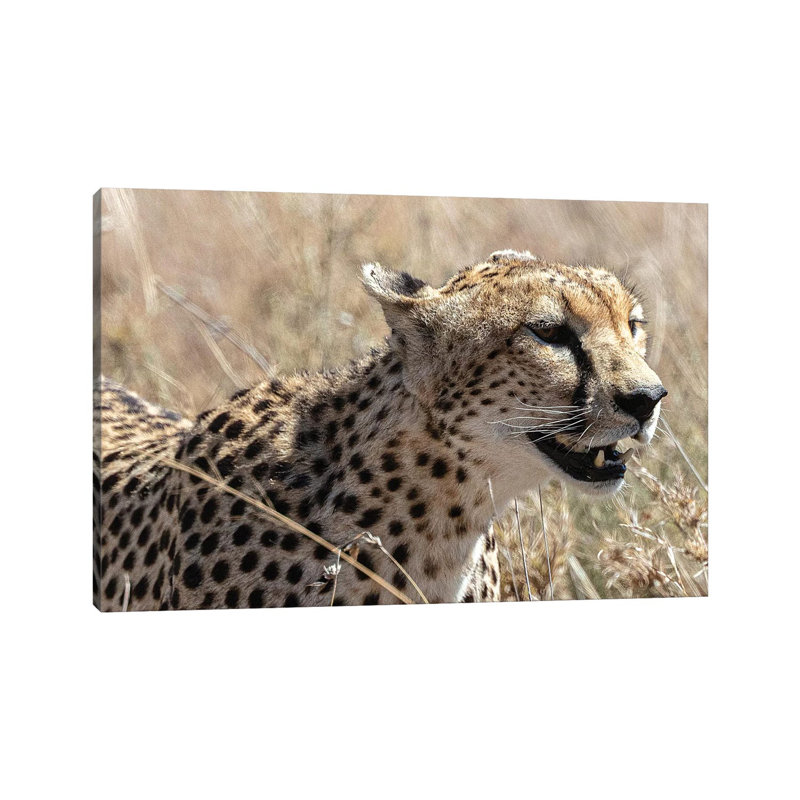 Just Running by Anders Jorulf - Wrapped Canvas Gallery-Wrapped Canvas Giclée, 20.32cm H x 30.48cm W