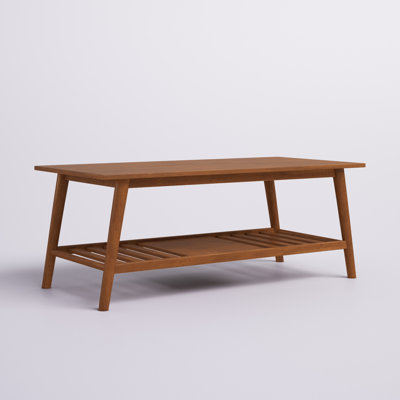 Ailani 47” Wood and Veneers Coffee Table with Decorative Shelf