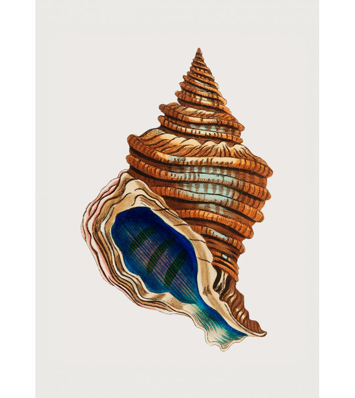 Wrapped Canvas Print, 121.92 cm H x 81.28 cm W