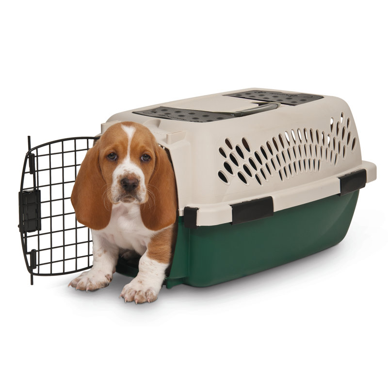 Plastic Pet Carrier with 1 Door, 12.5" H x 10" W x 19" D