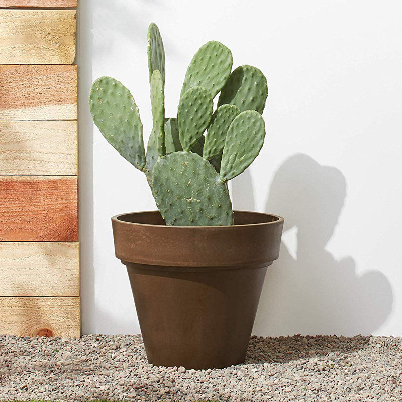 Jermoni Pot Planter, Dark Brown