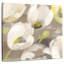 Harnek Tulip Delight I-109357873