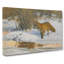 Fox In The Snow Vol.6 by Bruno Liljefors - Wrapped Canvas-61855122