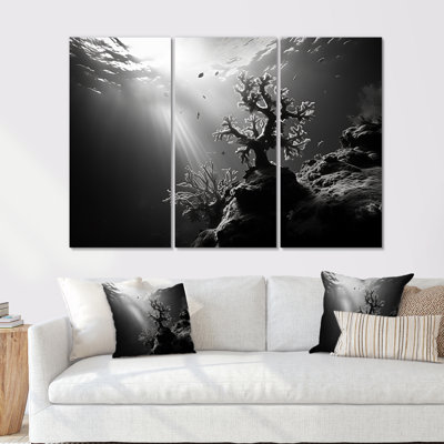 «Black and White Coral Artistic Ocean Ballet» - ensemble d'impression d'art mural corail sous l'eau