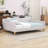 Upholstered Daybed with Linen Fabric and Wood Frame-1105102085-1105102330