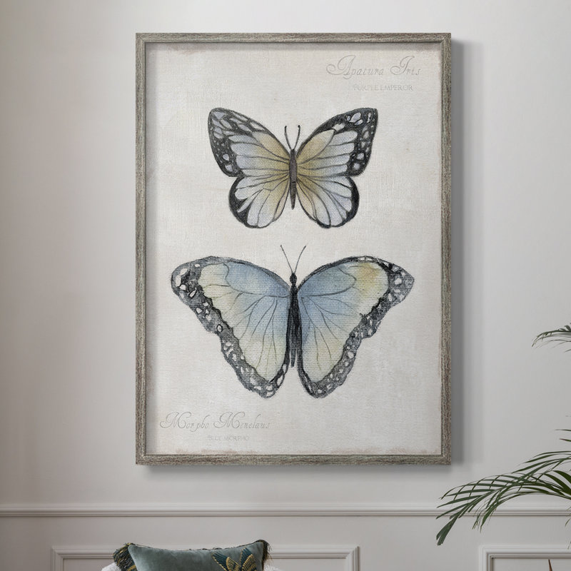 «Vintage Butterflies II», reproduction encadrée - bois massif, H 30 po x l 24 po