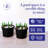 Homz Plastic Storage Tub & Tote