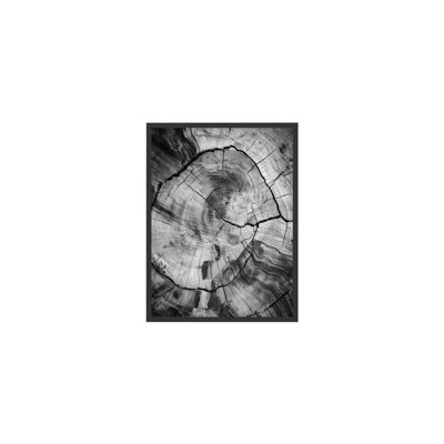 Burnt Origins Grain