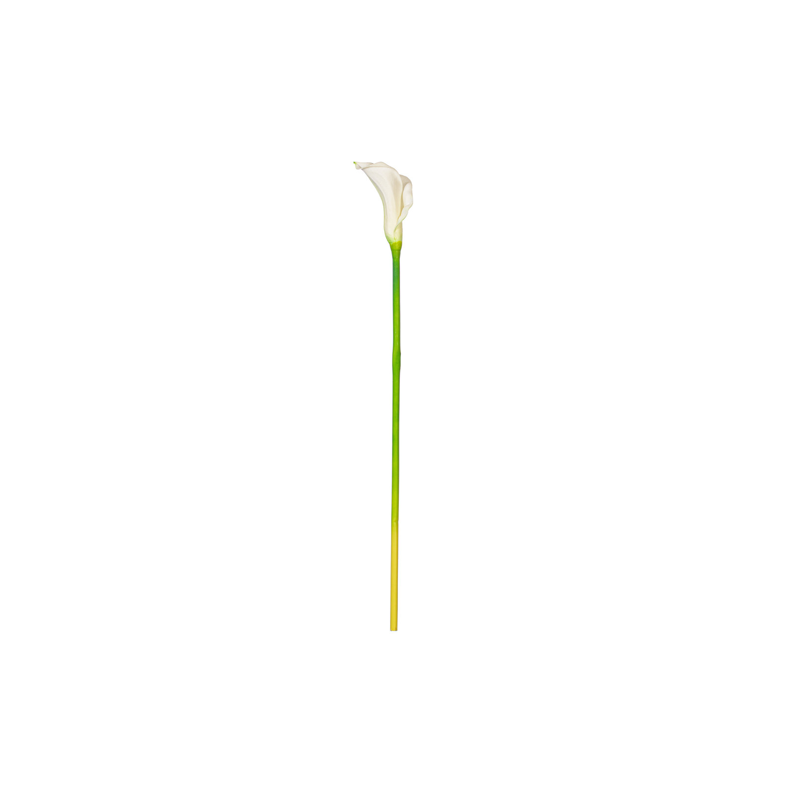 26" Artificial Calla Lily Stem, White, 26" H x 3" W x 3" D