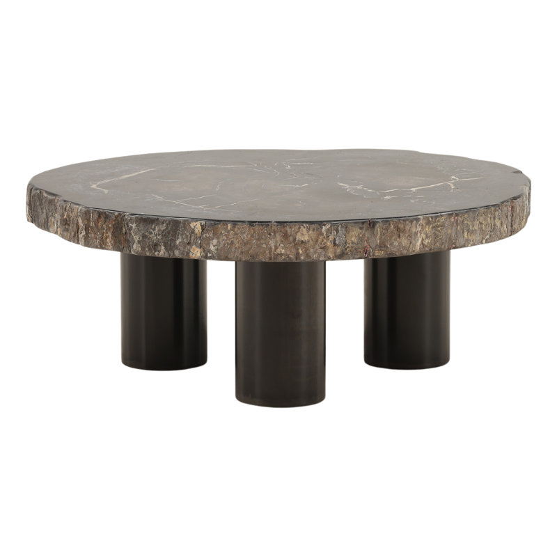 Darnell Petrified Wood Coffee Table Natural and Black - Small, 12" H x 31" L x 31" W