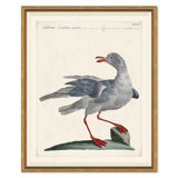 Odd Birds Giclee Print by Soicher Marin Archives