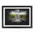 Black Framed