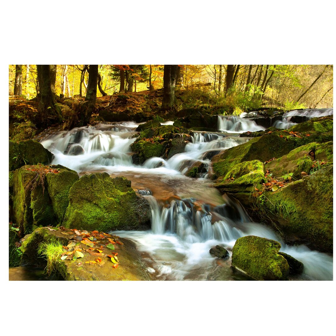 Strukturierte Tapete Waterfall in the Forest