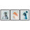 «Vivid Plumage Bird Portraits», ensemble de 3 reproductions encadrées sous verre, par Hannah Dawson