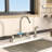 Mocoloo Kitchen Faucet