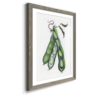 " Garden Fresh Peas " Painting Print