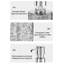 Distributeur de savon moussant pour bouteilles d'eau-132050507