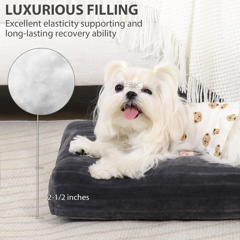 Lits pour chien Eibhlis, H 2 po x l 11 po x P 17 po, Gris