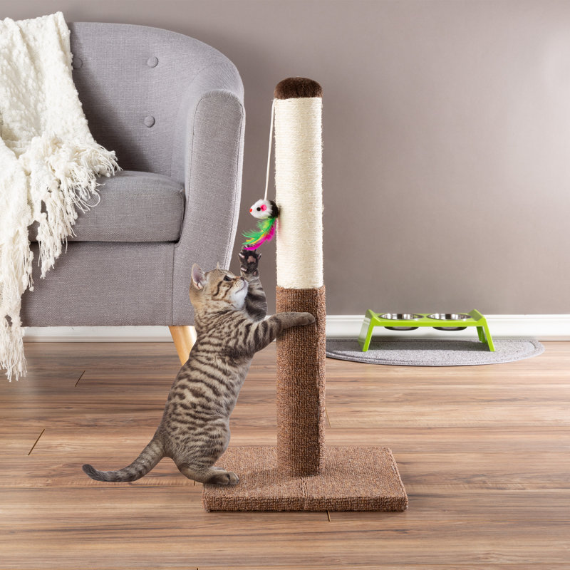 24.5-Inch Brown Sisal and Carpet Cat Scratching Post with Toy