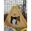 Maison pour chat Tippy Peak
